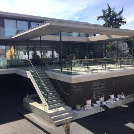 Design Hotel Krone - Art & Design Stay,位于莱茵河畔威尔的酒店