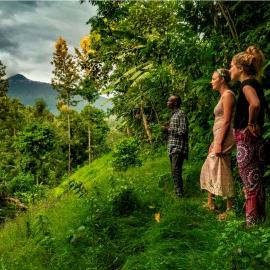 Banana Farm Eco Hostel，位于阿鲁沙的酒店