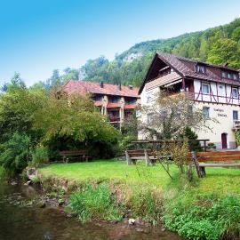 Landhotel Gasthof Wittstaig，位于Gundelfingen的酒店