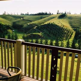 Panorama Seaside Apartments Norfolk Island，位于彭特派因的酒店