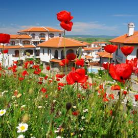 The Vineyards Boutique Hotel & SPA，位于阿赫洛伊的酒店