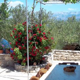 Holiday Home Ruža