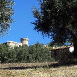 Agriturismo Aqua Viva，位于阿夸维瓦皮切纳的酒店
