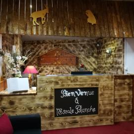 Hôtel L'Escale Blanche，位于莱索尔的酒店
