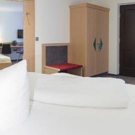 Hotel Weißes Roß，位于艾斯特维达的酒店
