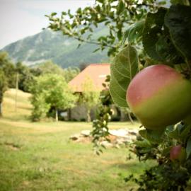 Ca-Jo Bed and Breakfast，位于Garessio的酒店