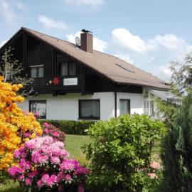 Hotel Grünes Paradies- Garni，位于Hochwaldhausen的酒店