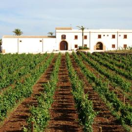 Agriturismo Baglio Donnafranca Wine Resort，位于马尔萨拉的酒店