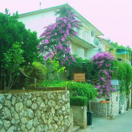 Villa Volga，位于耶尔萨的酒店