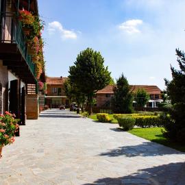 Agriturismo La Margherita，位于卡尔马尼奥拉的酒店