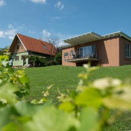 Ferienhäuser im Weingarten，位于Fehring的酒店