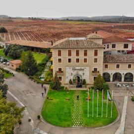 Hotel Torremilanos，位于阿兰达德杜洛的酒店