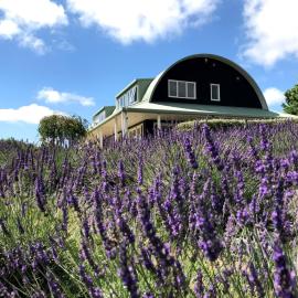 Lavender Hill，位于Riverhead的酒店