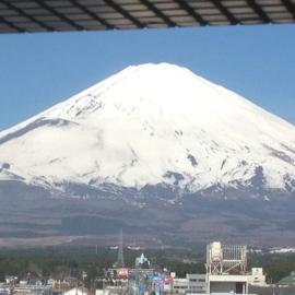 Fuji Gotemba Condominium Tannpopo，位于御殿场市的酒店