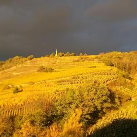 Wine Passion Panoramic，位于Chavanay的酒店