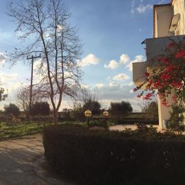 Swan House Panoramic View - Near the sea，位于Zipárion的酒店