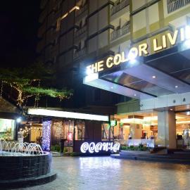 The Color Living Hotel，位于曼那的酒店