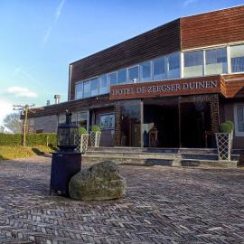 Fletcher Hotel - Restaurant de Zeegser Duinen，位于泽赫瑟的酒店