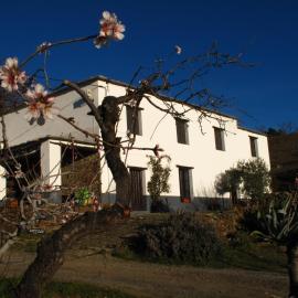 Casa Rural El Paraje de Berchules，位于贝尔楚勒斯的酒店