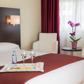 Hotel Santiago Apóstol，位于圣地亚哥－德孔波斯特拉的酒店