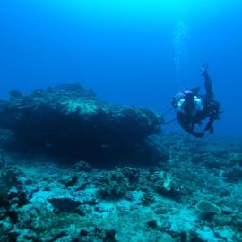 Sumba Adventure Resort，位于Baing的酒店