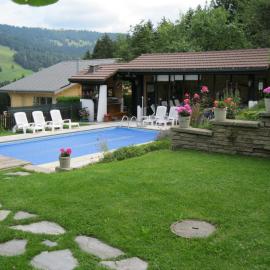 Le Logis du Chalet Perce-Neige，位于沙泰勒圣但尼的酒店