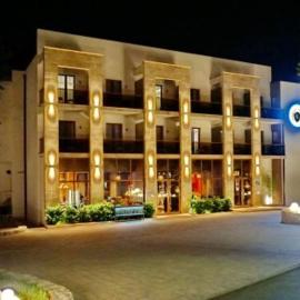 SL Industry Hotel，位于特雷比涅的酒店
