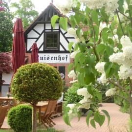 Luisenhof，位于新格洛布索的酒店