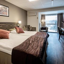 First Hotel Royal，位于赛夫勒的酒店