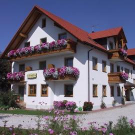 Hotel garni Hopfengold，位于沃尔恩察的酒店