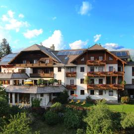 Hotel Häuserl im Wald，位于玛丽亚普法尔的酒店