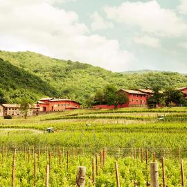 Agriturismo l'Uva e le Stelle，位于Faedis的酒店