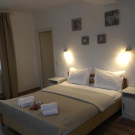Top Style Villa，位于Bragadiru的酒店