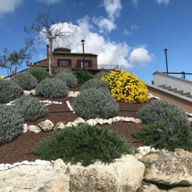 The Bell Tower Lodge，位于帕利多罗的酒店