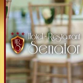 Hotel Senator,位于斯拉蒂纳的酒店
