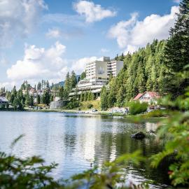 Panorama Hotel Turracher Höhe,位于图拉彻霍赫的酒店