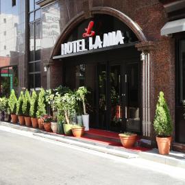 Residence Hotel Lamia，位于大田的酒店