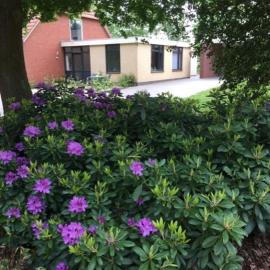 Speldehof，位于克拉亨堡的酒店