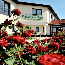 Panorama Hotel am Frankenstein，位于巴德塞尔佐根的酒店