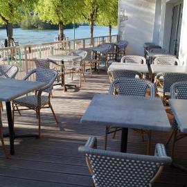 Logis hotel du Rhône，位于塞塞尔的酒店