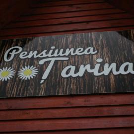Pensiunea Tarina，位于顺库尤什乡的酒店