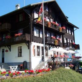 Hôtel de Torgon，位于Vionnaz的酒店