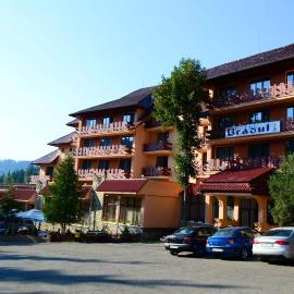 Hotel Bradul，位于杜劳的酒店