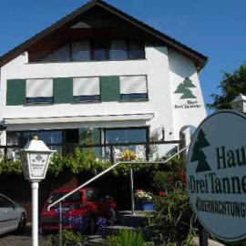 Haus Drei Tannen，位于席德尔·施瓦伦贝尔的酒店