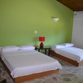 Hotel Albatros，位于埃斯皮纳尔的酒店