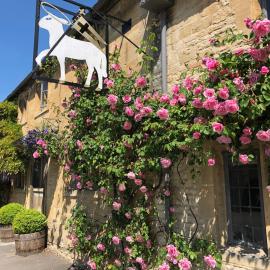 The Lamb Inn，位于伯福德的酒店
