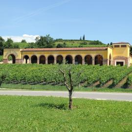 Monte Tondo Winery，位于索阿韦的酒店
