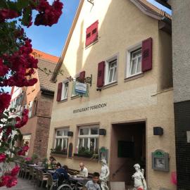 Poseidon Hotel，位于希尔施霍恩的酒店