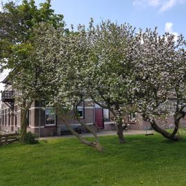 Hunsingo Texel，位于德科克斯多普的酒店