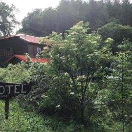 HÔTEL RESTAURANT LA FOURMI,位于Bourbach-le-Haut的酒店